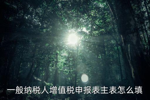 一般納稅人主表是什么，一般納稅人增值稅申報表主表怎么填