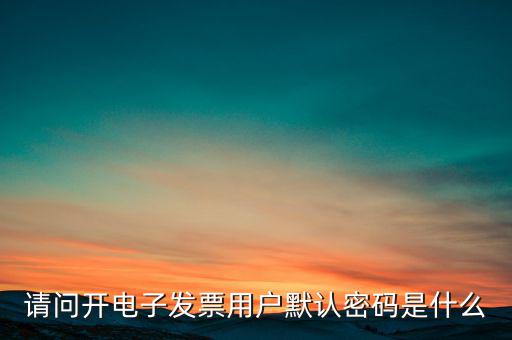 重慶國(guó)稅電子發(fā)票登錄密碼是什么意思，國(guó)稅局發(fā)票軟件里用戶代碼和密碼是什么