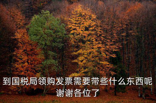 去國(guó)稅領(lǐng)發(fā)票需要帶什么，國(guó)稅領(lǐng)取發(fā)票需帶什么材料不是初次領(lǐng)購(gòu)