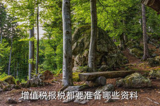 福建報稅要提供什么資料，報稅需要什么資料