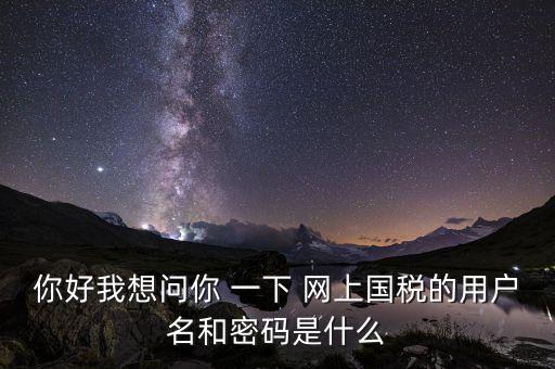 網(wǎng)上稅務(wù)辦理密碼是什么意思，國稅第一次網(wǎng)上申報的登陸密碼是什么