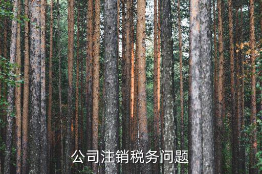 企業(yè)注銷為什么在地稅局非常簡(jiǎn)單，公司注銷稅務(wù)問題