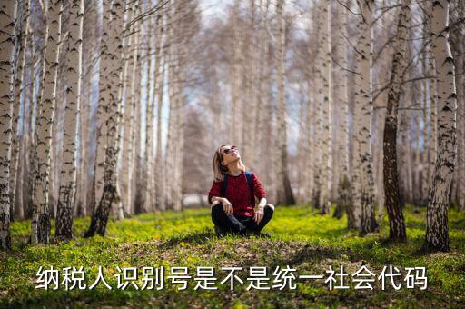 納稅人識(shí)別號(hào) 統(tǒng)一社會(huì)代碼是什么，納稅人識(shí)別號(hào)就是統(tǒng)一社會(huì)信用代碼嗎