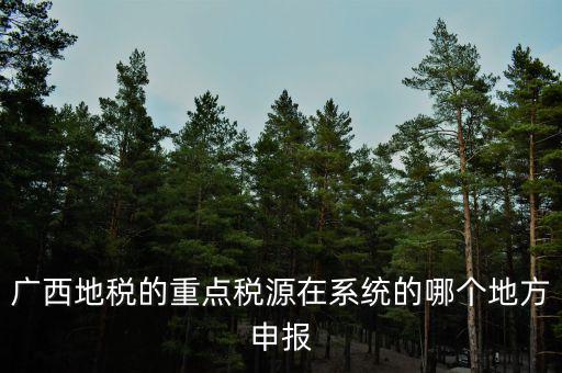廣西地稅網(wǎng)是什么，進(jìn)入廣西地稅網(wǎng)后為什么網(wǎng)上辦稅大廳會(huì)進(jìn)不去