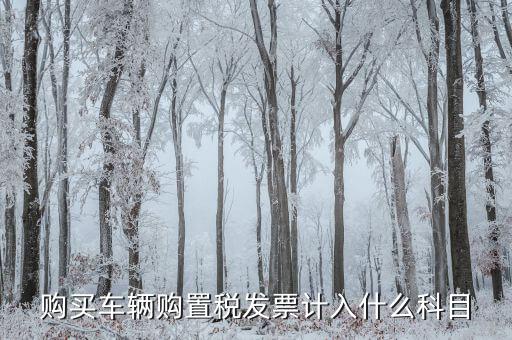 車輛購置發(fā)票是什么，關(guān)于車輛購置稅發(fā)票的問題