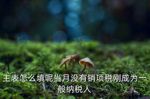 一般納稅人主表是什么意思，一般納稅人申報表主表的申明人必須輸入是什么意思