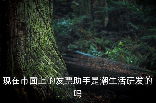 國(guó)稅發(fā)票助手是干什么的，現(xiàn)在市面上的發(fā)票助手是潮生活研發(fā)的嗎