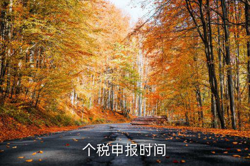 個(gè)人經(jīng)營(yíng)所得稅什么時(shí)候申報(bào)，個(gè)人所得稅明細(xì)申報(bào)什么時(shí)候報(bào)