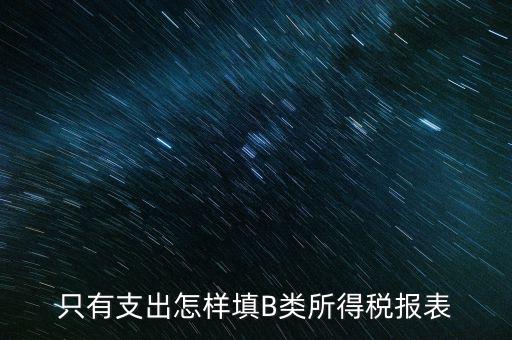 個人生產(chǎn)經(jīng)營所得B表稅金填什么，只有支出怎樣填B類所得稅報表
