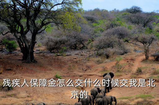 殘疾人保障金要求什么時(shí)候交，殘疾人保障金怎么交什么時(shí)候交我是北京的