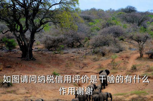 申請納稅信用復(fù)評需要什么資料，納稅信用評價的基本規(guī)范要求包括什么