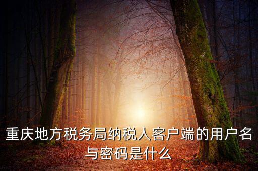 重慶國(guó)稅電子發(fā)票登錄密碼是什么，國(guó)稅局發(fā)票軟件里用戶代碼和密碼是什么