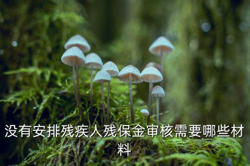 福建殘保金備案需要什么資料，求助2012年殘保金申請流程