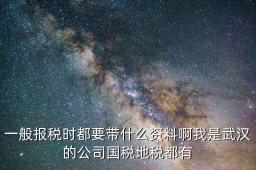 武漢國稅年報是什么，武漢市地稅國稅報稅截至日期分別是什么時候