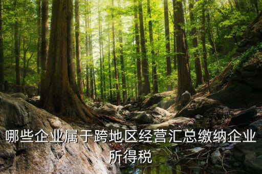 跨地區(qū)經(jīng)營(yíng)匯總納稅指的是什么，哪些企業(yè)屬于跨地區(qū)經(jīng)營(yíng)匯總繳納企業(yè)所得稅