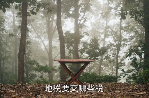 地方稅務(wù)局都涉及到什么稅種，地稅局系統(tǒng)征收哪些稅種
