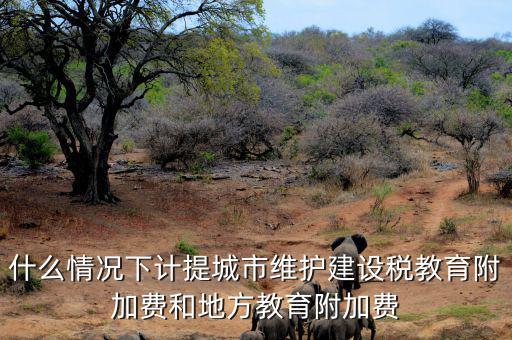 什么情況下免交地方教育稅附加，什么情況下計(jì)提城市維護(hù)建設(shè)稅教育附加費(fèi)和地方教育附加費(fèi)