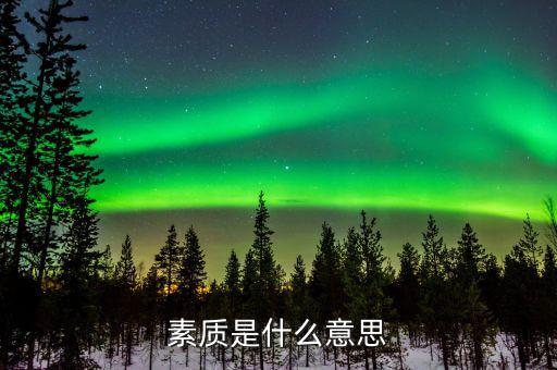 納稅服務素質(zhì)是什么意思，素質(zhì)的意思是
