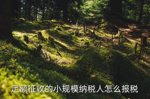 小規(guī)模納稅人 什么定額申報(bào)，定額征收的小規(guī)模納稅人怎么報(bào)稅