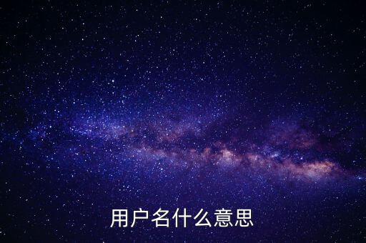微稅用戶名是什么意思啊，用戶名什么意思