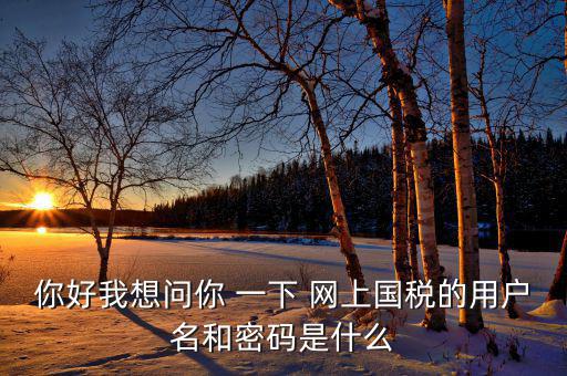 電子稅務(wù)的賬號密碼是什么，你好我想問你 一下 網(wǎng)上國稅的用戶名和密碼是什么