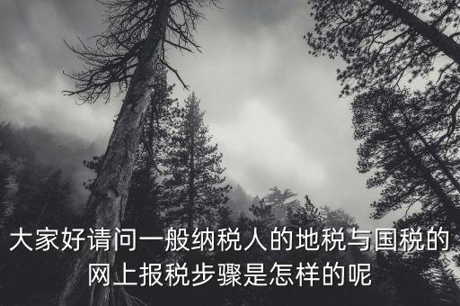 地稅用戶名是什么河北，我是新手如何使用河北地稅網(wǎng)網(wǎng)上報(bào)稅知道的老師請(qǐng)告知謝了