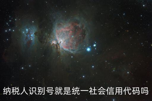 什么是納稅人統(tǒng)一社會信用代碼是什么，納稅人識別號就是統(tǒng)一社會信用代碼嗎