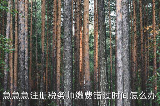 廣東省稅務(wù)師會(huì)費(fèi)什么時(shí)候交，廣州2013年的匯算清繳報(bào)告什么時(shí)候交