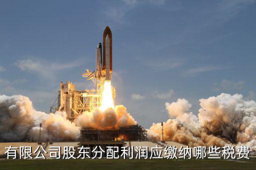 公司股東需要交什么稅，有限公司股東分配利潤應(yīng)繳納哪些稅費(fèi)