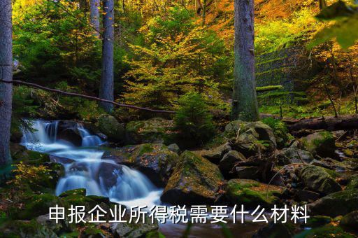 企業(yè)所得稅補(bǔ)申報(bào)需要什么，申報(bào)企業(yè)所得稅需要什么材料