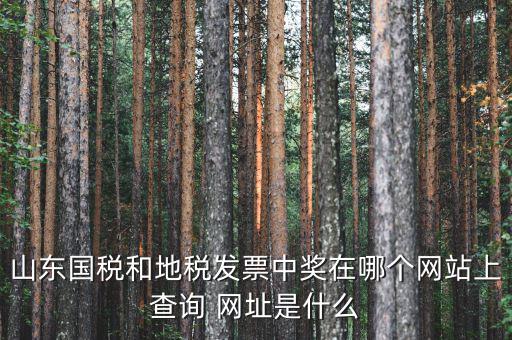 發(fā)票領(lǐng)用什么網(wǎng)站，誰(shuí)知道發(fā)票兌獎(jiǎng)上那個(gè)網(wǎng)站