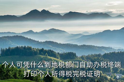 稅務(wù)局自助辦稅服務(wù)終端是什么，自助辦稅終端 報稅