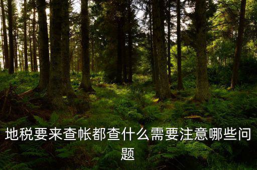 地稅主要查什么，地稅查賬一般都查哪些方面呢
