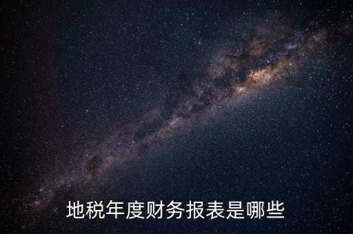 地稅年度財務(wù)報表是哪些