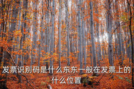 河北發(fā)票識(shí)別碼是什么意思，發(fā)票的識(shí)別碼是不是繳稅單位的稅號(hào)