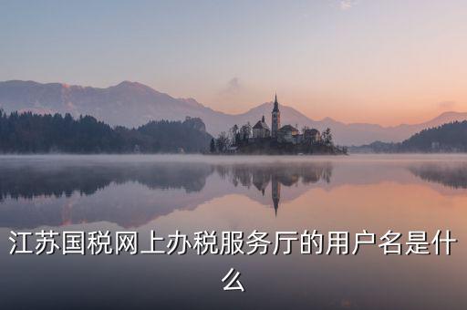網(wǎng)上辦稅平臺帳號是什么，地稅網(wǎng)上申報用什么帳號
