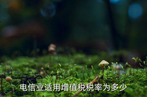 電信服務(wù)什么時候繳納增值稅，電信業(yè)適用增值稅稅率為多少