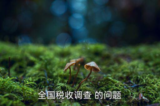 全國(guó)稅收調(diào)查是什么呢，全國(guó)稅收調(diào)查表說明