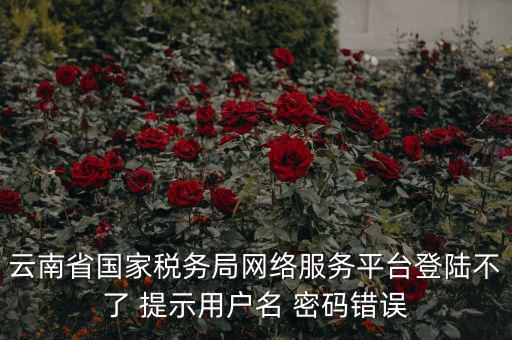 云南稅控服務(wù)平臺的網(wǎng)址是什么，云南國稅開票系統(tǒng)網(wǎng)址