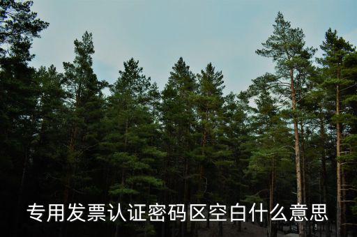 河南發(fā)票密碼是什么意思，專用發(fā)票認證密碼區(qū)空白什么意思