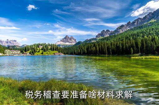 稅收調(diào)查需要什么資料，稅務(wù)檢查調(diào)閱企業(yè)會(huì)計(jì)資料需要辦理什么手續(xù)