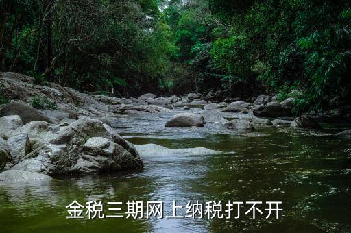 金稅門戶為什么打不開，金稅三期網(wǎng)上納稅打不開