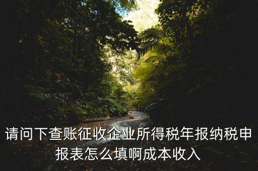 企業(yè)所得稅申報查賬是什么表，剛注冊了一個小規(guī)模的公司企業(yè)所得稅是查帳征收企業(yè)所得稅報表