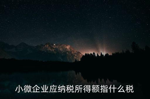 小微企業(yè)繳納什么稅，小型微利企業(yè)有什么稅要交