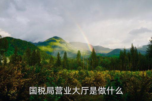 國稅局大廳工作是什么，國稅大廳咨詢?nèi)藛T具體是做什么工作的
