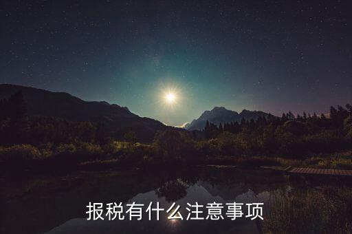 報稅有什么注意事項(xiàng)