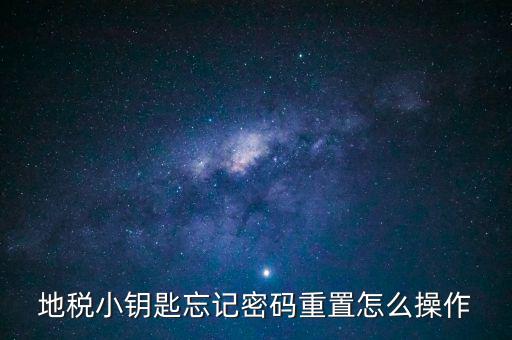 地稅密碼重置需要什么，地稅網(wǎng)上納稅申報(bào)密碼忘記了