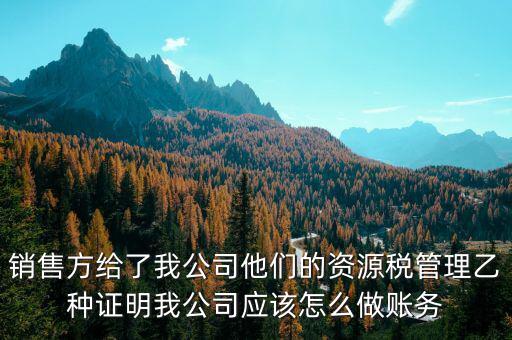 什么叫資源稅甲乙種證明，銷售方給了我公司他們的資源稅管理乙種證明我公司應(yīng)該怎么做賬務(wù)