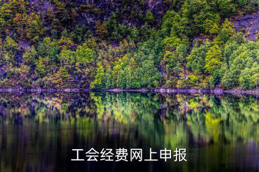工會經(jīng)費在什么地方申報，有關(guān)工會經(jīng)費申報的問題