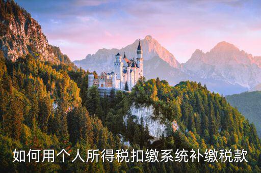 個(gè)人所得稅用什么系統(tǒng)，個(gè)人所得稅代扣代繳系統(tǒng) 支持Windows7 嗎